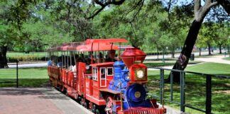 Czy testament wyłącza dziedziczenie ustawowe?