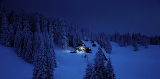 Jaki jest cel ZFŚS?