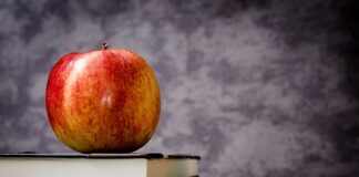 Czy opłaca się iść do klasy dwujęzycznej?