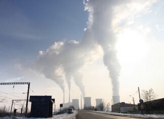 W jaką branże warto inwestować?