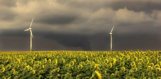 Jaka jest kolejność spadkobierców?