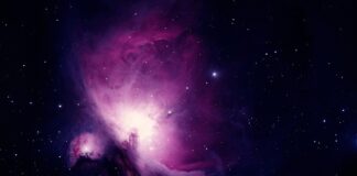 Jak długo trwa nauka na testera oprogramowania?