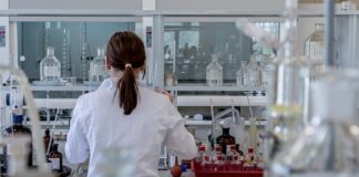 Czym się różnią testy regresji od Re testów?