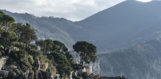 Ile kosztuje miesięcznie terminal?