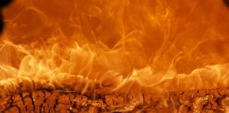 Jakie zioła na energię?