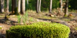 Jak zregenerować zmęczony organizm?