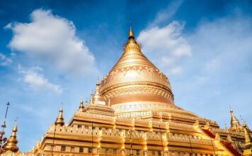 Na czym zarabia PayU?