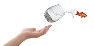 Czy akt urodzenia trzeba tłumaczyć?