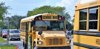 Czy po terapii pedagogicznej można być pedagogiem specjalnym?