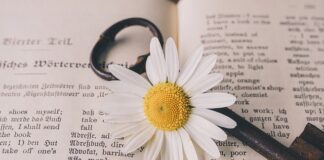 Czym różni się tłumaczenie konsekutywne od tłumaczenia symultanicznego?