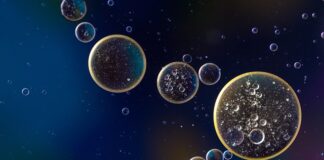 Za co funkcjonariusz może zostać zawieszony do 3 miesięcy?