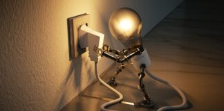 Co jest głównym źródłem energii dla organizmu?